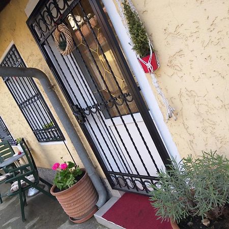 Green Point Apartments Dusanovac Bagian luar foto
