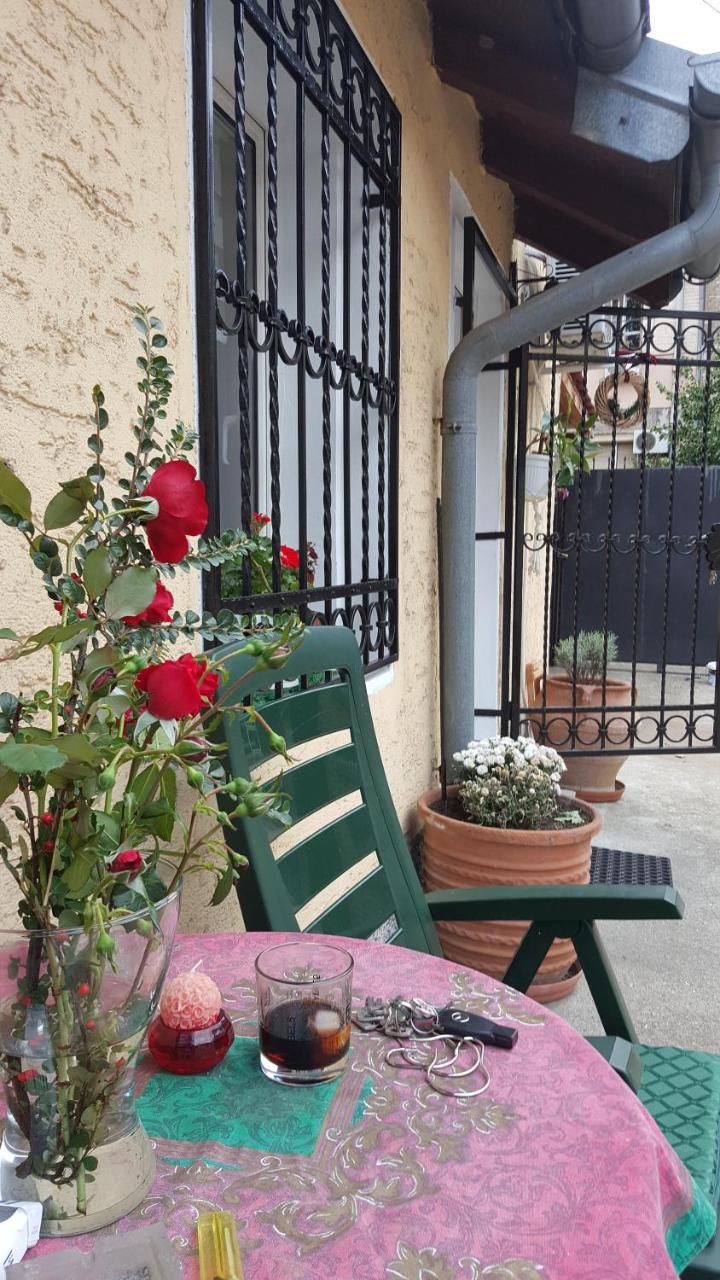 Green Point Apartments Dusanovac Bagian luar foto