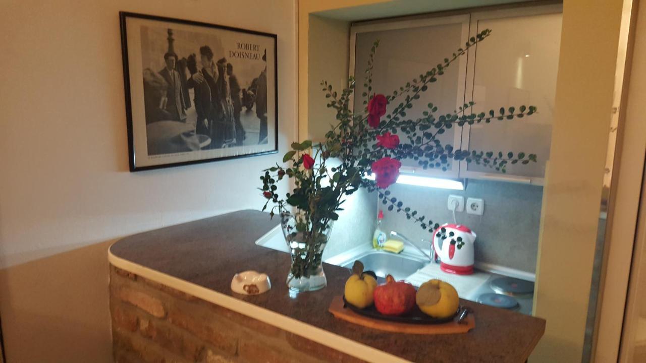 Green Point Apartments Dusanovac Bagian luar foto